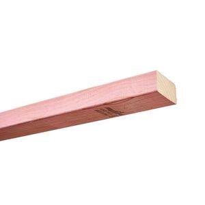 100X50 H1.2 KD MG MSG8 4.8M - Lovens Building Supplies