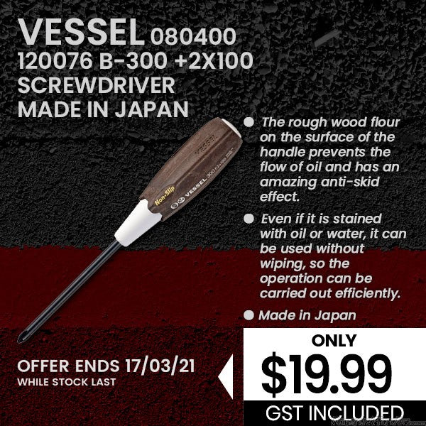 120076 B-300 +2X100 SCREWDRIVER