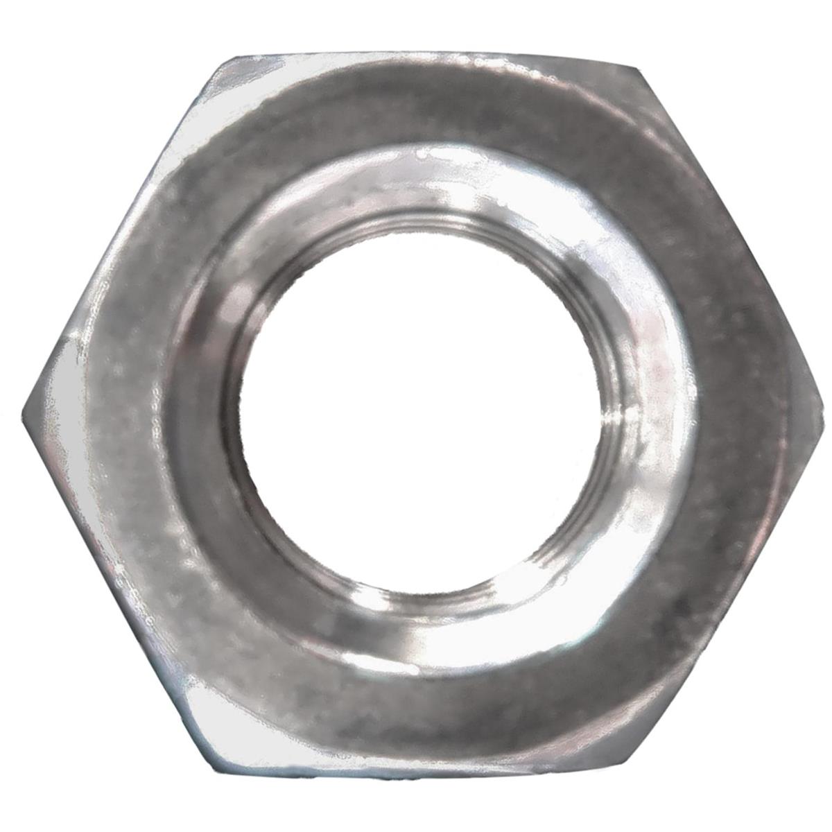 HEX NUT SS316 M12